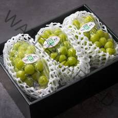 특별한 추석 과일 선물 13종 허니듀 멜론 태국망고 브라질 애플망고 선물세트 김천 샤인머스켓 선물세트 허니글로우 파인애플 페루 아보카도 부모님 추석선물, 샤인머스켓 선물세트 3과