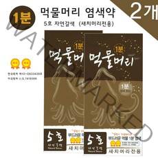 1분 먹물머리 5호 자연갈색 새치머리전용 염색약, 2개
