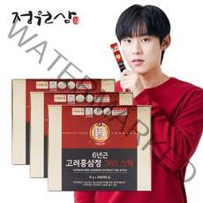 정원삼 6년근 고려홍삼정 365스틱 10g x 30포 x 3박스, 365스틱/3박스