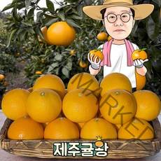 귤왕 농장 직배송 제주 하우스 노지 황금향 2kg 3kg 5kg 10kg 가정용 선물세트, 01.노지황금향 가정 중소과2kg 13과내외