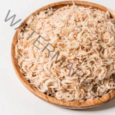 오늘의바다 국산 햇 참새우 밥새우 건새우, 참새우400g