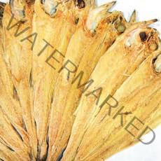 산지직송 용대리 황태포 특대 마리당크기 42~44cm, 5마리