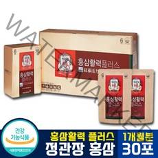 [ 면역력 증진 + 항산화 ] 정관장 홍삼 활력 플러스 액상형 파우치 진세노사이드 홍삼근 프락토올리고당 당귀 숙지황 황기 감초 진피 팔라티노스 잔탄검 함유, 1박스 (1개월분), 30포