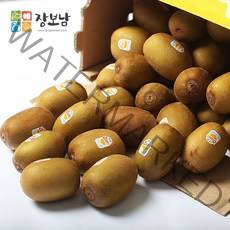 [오늘출발] 장보남 제스프리 썬골드키위 2.8kg 대과 점보과 우체국택배, 1박스, 썬골드키위 2.8kg(20-22과/특대)