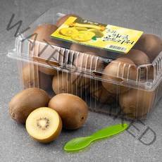 올바른과일 올과 해금 골드키위 + 키위 스푼, 1.5kg(17~19입), 1개