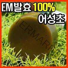 [오후3시 로켓발송] YB맘 EM발효액 어성초비누100g 클렌징비누, 100g, 1개