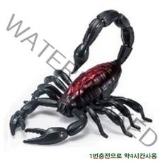 토키즈 비틀 어린이 RC 완구 전갈RC