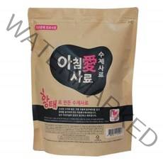 애견사료 소프트사료 아침애사료 수제사료 황태 1kg 8976286EA, 본상품선택