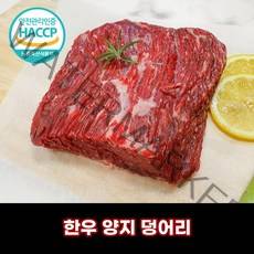 디에스미트 한우 양지 덩어리 우시산한우 1등급이상 냉장, 300g, 1개