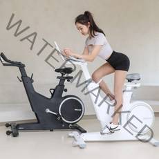 멜킨 실내자전거 젠틀 마그네틱 스피닝 스핀바이크 가정용 사이클 헬스 운동 기구 10kg 15kg, 스페이스 블랙, 마그네틱 10kg