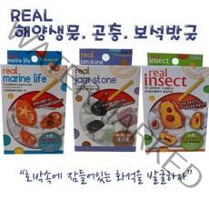 리얼 해양생물 곤충 보석발굴키트, 곤충(극동전갈)