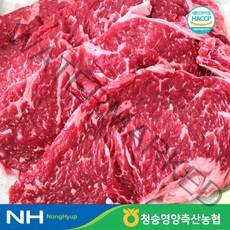 산지직송 청송영양축협 1등급 명품 한우 등심 300g, 단품없음