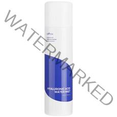 이즈앤트리 히아루론산 워터 미스트, 100ml, 1개