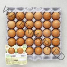 곰곰 신선한 동물복지 유정란 30구, 1560g, 1개