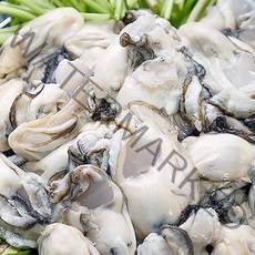 22년 산지 통영굴구이 바다장어멍게 당일작업, 1box, 생굴1kg