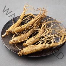 곰곰 농협 금산 인삼, 300g, 1팩