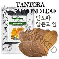 탄토라 알몬드 잎 XL 수질개선 수질안정, 1개