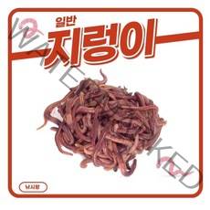 일반지렁이 청지렁이 낚시미끼용 학습용지렁이 실습용, 아이스박스포장