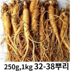실속형 실속형인삼 국내산 인삼 250g 750g 1kg 옵션선택 (믹서용 홍삼용 실속인삼), 실속인삼 250g (10-12뿌리)