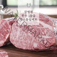 강병원한우암소1등급세트 강병원 한우암소1등급 등심세트 250g*4팩 총 1kg, 1