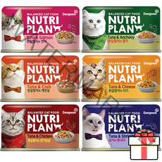 동원 뉴트리플랜 고양이 습식캔, 참치와통새우, 160g, 12개