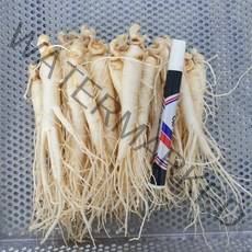 금산농협수삼판매장 5년근 6년근 중삼계 750g 30-35뿌리 튀김용 삼계탕용 세척인삼, 세척