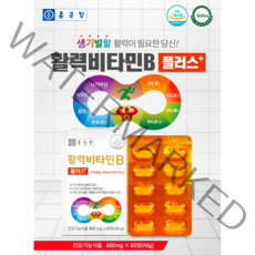 남성비타민 비타민제 하루비타민 면역력비타민