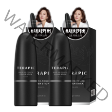 테라픽 헤어 리-터치 커버스틱 8g, 블랙, 2개