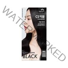 꽃을든남자 CS먹물 프리미엄 헤어 칼라크림, N1(30)흑색, 1개