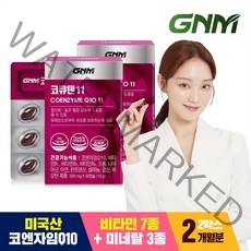 GNM자연의품격 코엔자임Q10 코큐텐11 (1박스당 1개월분), 2박스, 30캡슐