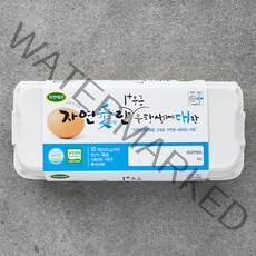 자연애찬 무항생제 인증 자연애란 1+등급 대란 10구, 520g, 1개