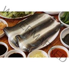 천수산 풍천민물장어 자포니카 국내산 민물장어 1kg 손질 후 정량500g 1kg (손질 후 정량500g), 1kg(정량500g)