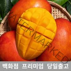 [특등급선별] 애플망고 4.5kg 제주애플망고 제주도애플망고 제주망고 애플망고선물세트 제주산애플망고 망고선물세트 애플망고선물 과일 과일종류 제철과일 겨울과일 망고쇼핑몰 과일선물
