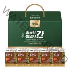 GNM 건강한 간 밀크씨슬 선물세트 (5개입 총 5개월분) 간 건강 밀크시슬 실리마린, 5박스, 30정