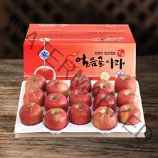 (산지직송) 밀양 얼음골사과 고당도 부사 5kg 10kg, 1box, 10kg 46과