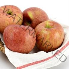 맛있어서 미안해 사과 할께 달콤한 경북 빨간 꿀 사과 5kg 10kg, 1박스, 꿀사과 5kg(소과)