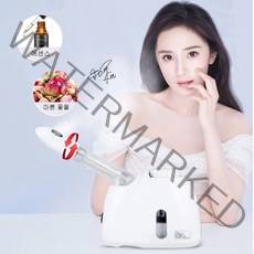 VEGOEVER 얼굴 스팀기 피부케어기기 나노 미스트기 피부스티머 스팀기 보습 페이셜 스티머 디퓨저 에센스, 화이트