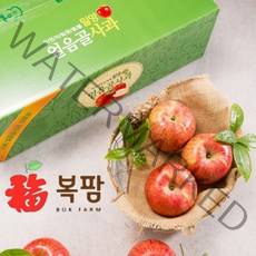 신복농원 [복팜] 밀양얼음골사과 햇사과 [부사10kg] 산지직송 GAP농가 농부직송, 1박스, 10kg-35과(중과)