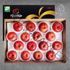 [웰굿]GAP인증 강원도 고랭지 사과선물세트 5kg(22-23과), 단품