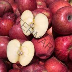 빨간 가정용 햇 사과 5KG (무조건 당일 발송), 소과 5kg