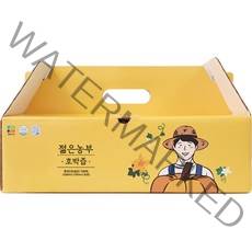 젊은농부 호박즙, 100ml, 30개