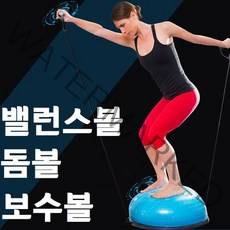 반 짐볼 하프짐볼 보수볼 돔볼 운동 법 필라테스 보수 임산부 균형 밸런스, 블루