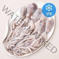 비비수산 낙지 (냉동), 1개, 850g(6미)