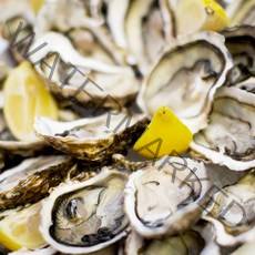 통영 새우 조개 왕우럭조개 털게석화굴구이, 1box, 하프셀1단