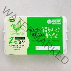 자연애찬 동물복지 인증 무항생제 유정란 15구, 780g, 1개