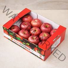 다조은 강원도 정선 당도선별 사과, 3kg(8~13입), 1박스