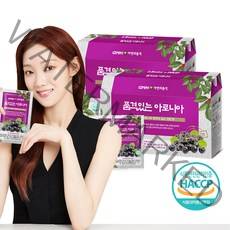 GNM자연의품격 품격있는 아로니아즙, 70ml, 60개입