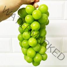 [GAP 인증] 김천 포도장인 샤인머스켓 특등급, 정품 2.2kg(2~3송이)