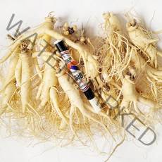 [GAP 취득 농부의 인삼] 인삼 수삼 6-5년근 난발 파삼 세척 삼계탕 선물 산지직송 홍삼액 정성가득, 세척안함, 4.잔소난발(750g)-18뿌리내외
