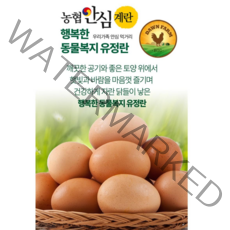 농협안심계란 행복한 동물복지유정란 20개입 40개입, 1040g이상